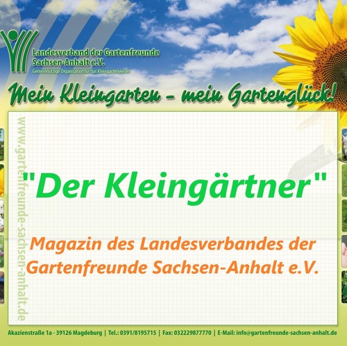 "Der Kleingärtner" Ausgabe 11 2024