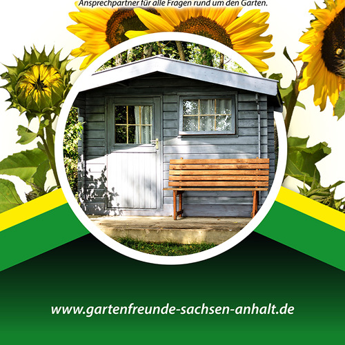 Exotisches Obst im Fokus